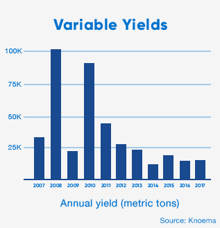 Infographic titled Variable Yields