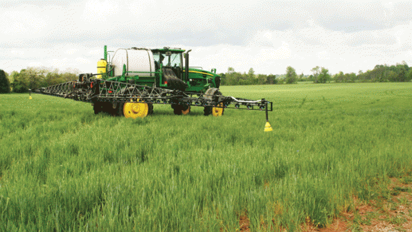 Terminating cover crops at an early growth stage reduces the risk of them becoming a weed in the next grain crop.