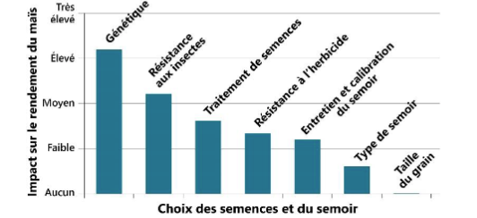 Les choix liés aux semences et leur impact relatif sur le rendement en grain de maïs.