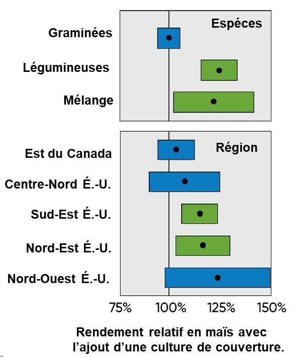 Réponse du rendement du maïs à la culture de couverture hivernale selon l’espèce de culture de couverture et la région.