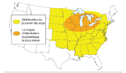 Distribution du puceron du soya et zone de probabilité accrue d’infestation économique.