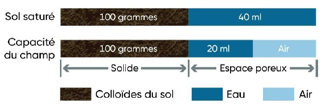 Dommages causés au maïs par les inondations du printemps