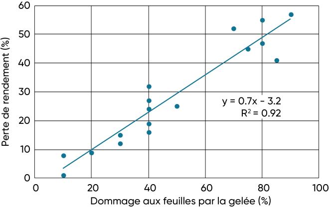 Perte de rendement lorsque le dommage par la gelée survient au stade allant de 7 à 10 collets