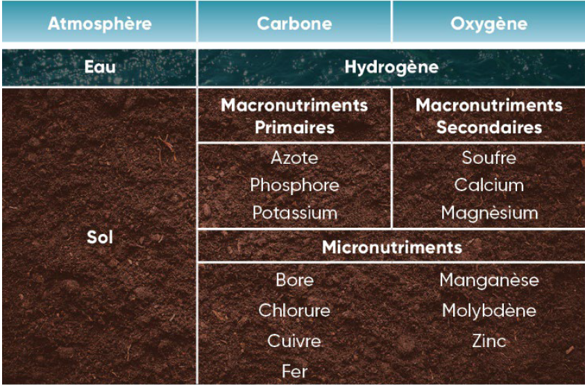 Sources des seize nutriments essentiels à la production végétale