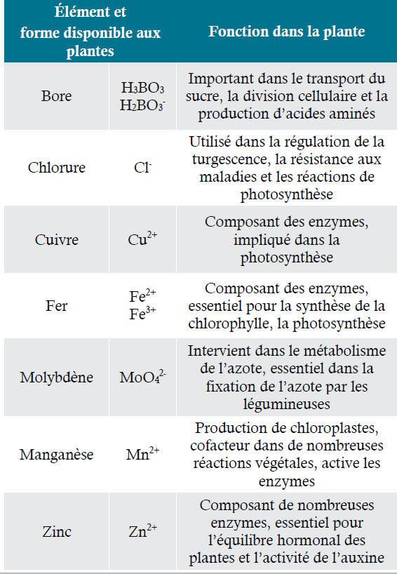 Formes et fonctions des micronutriments disponibles aux plantes