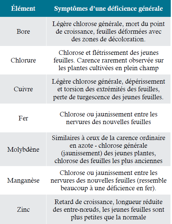 Symptômes généraux de carence en micronutriments.