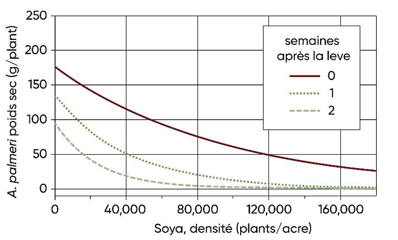 Effets (densité du soya, moment de la levée de l’amarante de Palmer) par rapport à la culture sur le poids sec de l’amarante de Palmer par plant au moment de la récolte