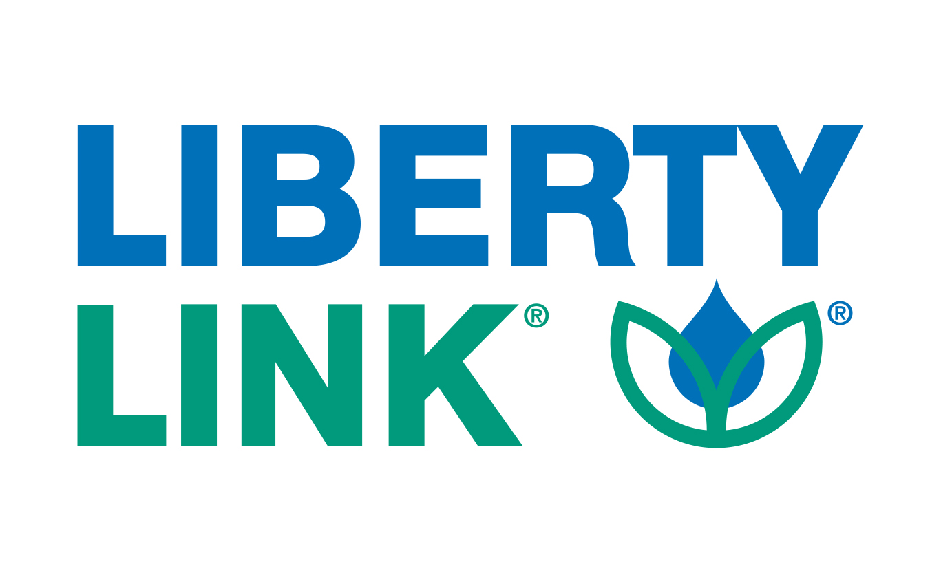 Libertylink logo